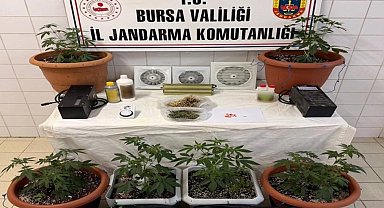Bursa Nilüfer'de jandarmadan uyuşturucu operasyonu