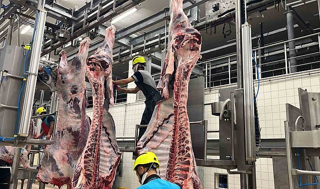 Büyükşehir mezbahasında 6 bin 29 kesim yapıldı
