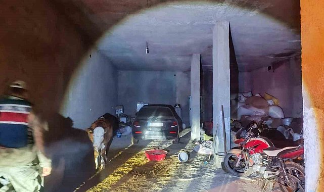 Çalıntı otomobil ahırda bulundu