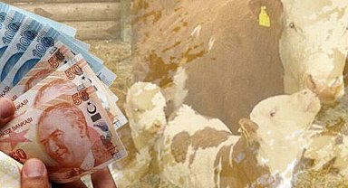 Çiftçilere 226 milyon TL destek hesaplarda!