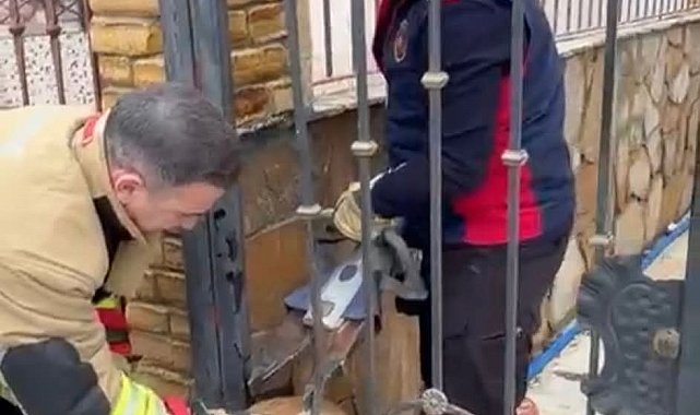 Demir korkuluklara sıkışan köpeği itfaiye kurtardı