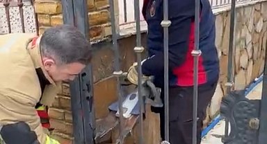 Demir korkuluklara sıkışan köpeği itfaiye kurtardı