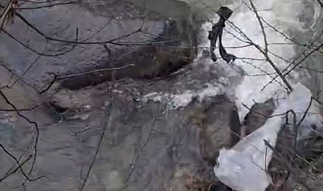 Dereli'de derede mahsur kalan köpek belediye ekiplerince kurtarıldı