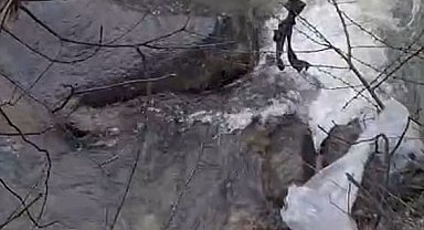 Dereli'de derede mahsur kalan köpek belediye ekiplerince kurtarıldı