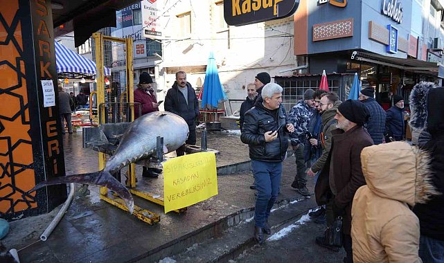 Dev Orkinos Erzincan'da olay oldu! Tezgâh önünde fotoğraf yarışı