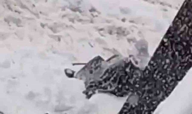 Diyarbakır'da kar çileye dönüştü