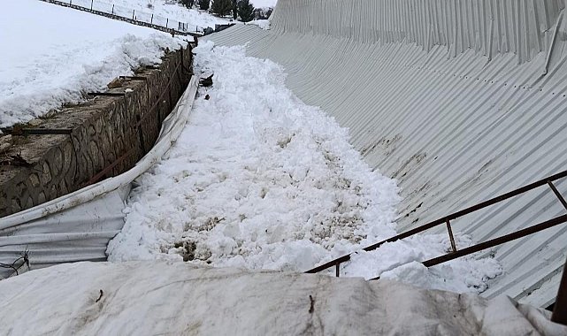 Elazığ'da ahırın tavanı çöktü
