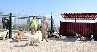Eskişehir'de doğaya ve can dostlara tam destek