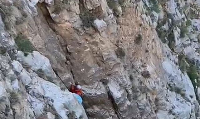 Fethiye'de kayalıklarda mahsur kalan keçi kurtarıldı