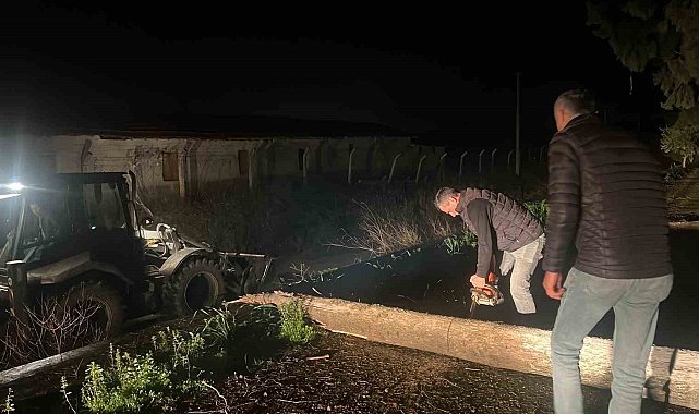 Fırtına mezarlıkta ağaçları devirdi, belediye ekipleri anında müdahale etti