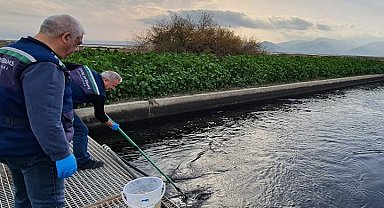 Gediz'de çevre kıyımına geçit yok!