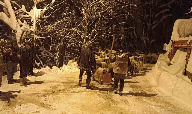 Giresun'da çığ: 1 ölü