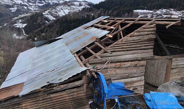 Giresun'da fırtınada bazı seralar ve yayla evleri hasar gördü