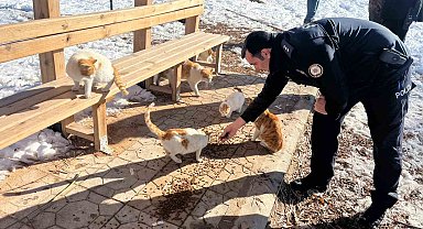 Gölbaşı ilçesinde polisler sokak hayvanları için mama bıraktı