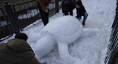 Gümüşhane'de "kardan kaplumbağa" ilgi odağı oldu