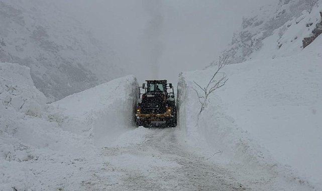 Hakkari-Şırnak kara yoluna çığ düştü