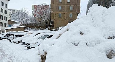 Hakkari'de 223 yerleşim yerinin yolu ulaşıma kapandı
