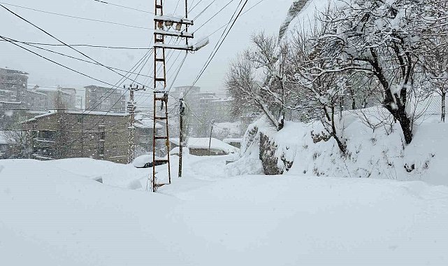 Hakkari'de 89 yerleşim yerinin yolu kapandı