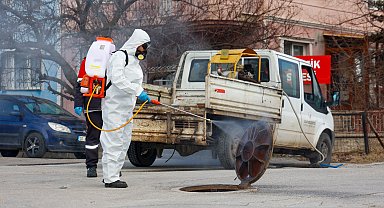 Haşerelere karşı etkin mücadele
