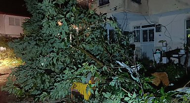 Hortum Manavgat'ı savaş alanına çevirdi