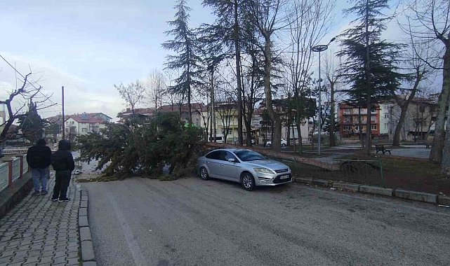 Isparta'da fırtına ağacı kökünden söküp park halindeki aracın üzerine devirdi
