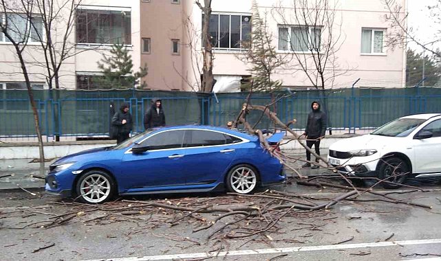 Isparta'da fırtına ağaçları devirdi, araçlar hasar gördü