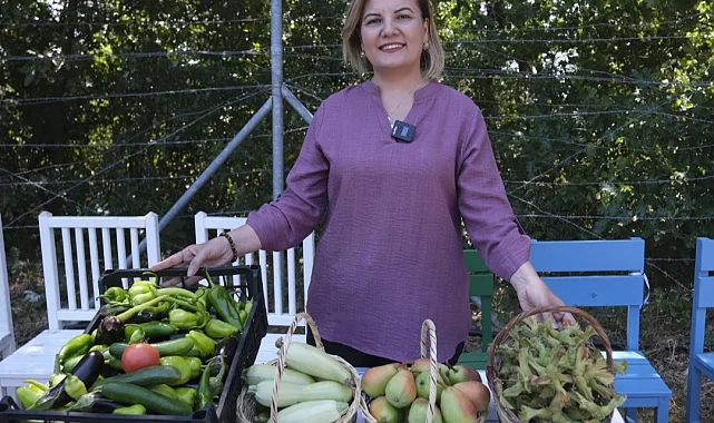 İzmit'te bir yılda 37,5 tonluk dev hasat