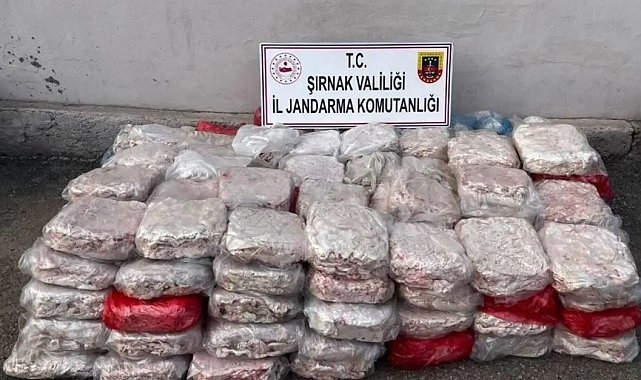 Jandarmadan 2025'te uyuşturucuya tavizsiz savaş