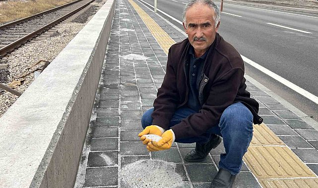 Karayolunun kenarında beyaz örtü oluşturan tırlardan dökülen gübreler, fırçalarla toplanarak bahçelerde değerlendiriliyor
