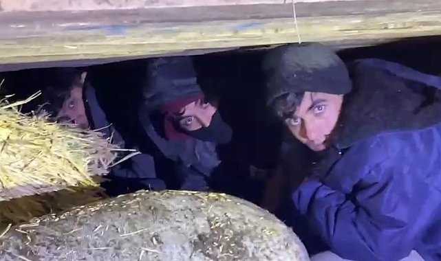 Kars'ta saman balyaları arasından kaçak göçmen çıktı: 1 tutuklama