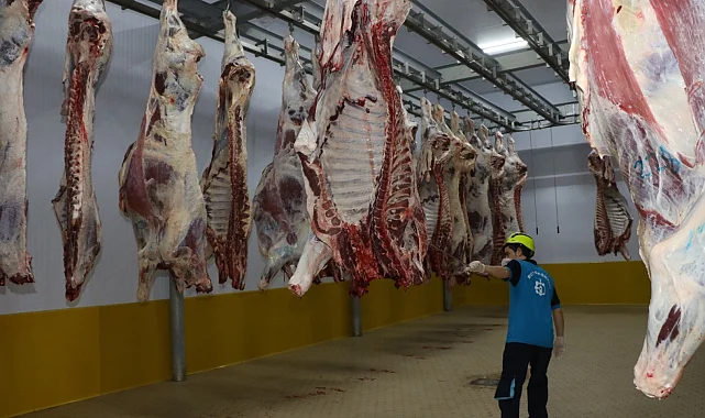 Kasapların tercihi Kocaeli Mezbahası