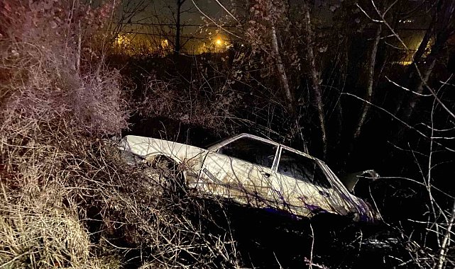 Kastamonu'da otomobil ağaca çarptı: 1 yaralı