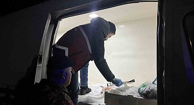 Kastamonu'da usulsüz avlanan 1 ton 335 kilogram balığa el konuldu