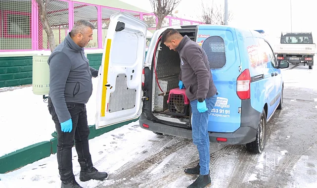 Kayseri Melikgazi'nin 'Sevimli Dost Ambulansı' boş durmadı