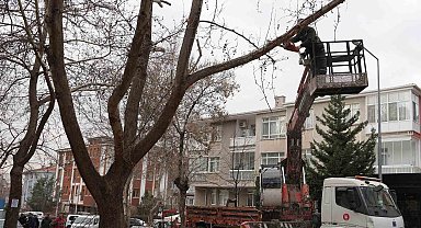 Keçiören Belediyesi, park ve yeşil alanlardaki bakım çalışmalarına devam ediyor