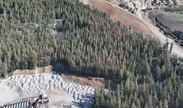 Kilis'te Akdeniz çam kabuk böceğine karşı biyoteknik mücadele