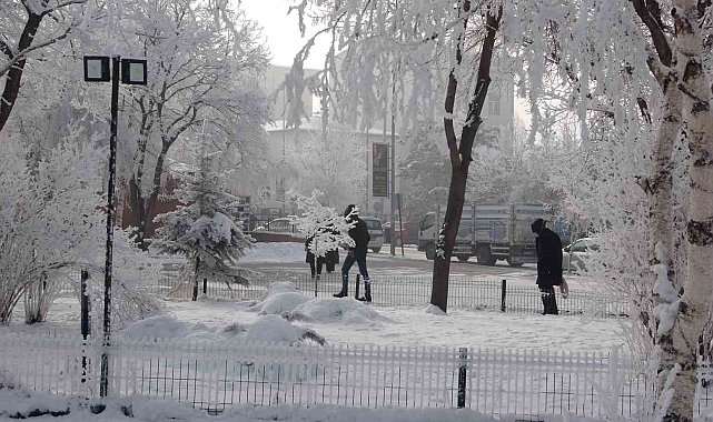 Kırağı sonrası görsel şölen oluştu