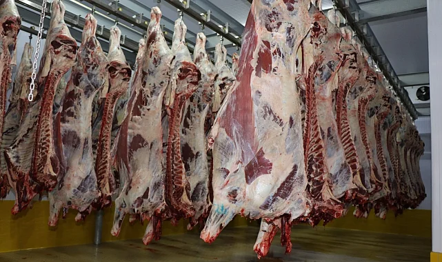 Kocaeli Mezbahası'nda 6 bin 29 kesim yapıldı