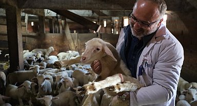 Kocaeli'de 2025 'çiftçinin yılı' oldu... 166 milyon TL destek sağlandı