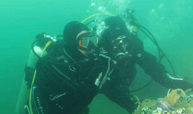 Kocaeli'de İzmit Körfezi artık nefes alıyor