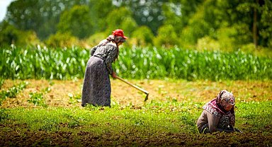 Kooperatif ve birliklere yüzde 75 hibeli tarımsal destek