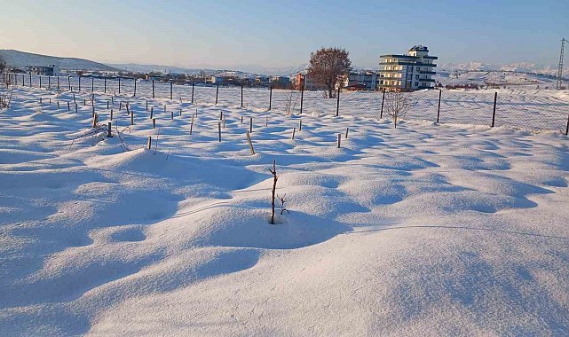 Kulp'ta kar yağışı çiftçiye umut oldu
