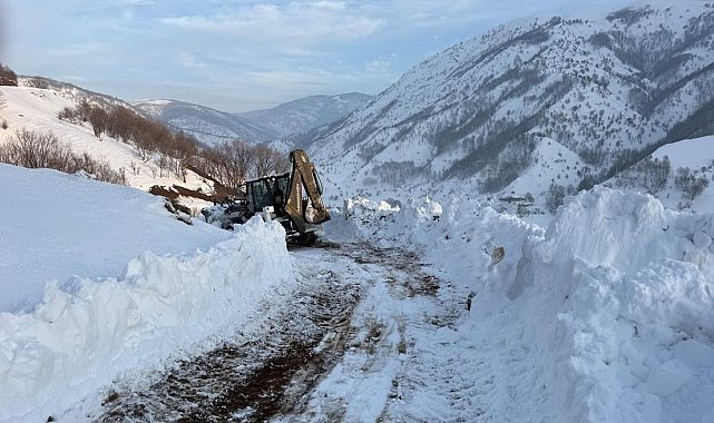 Kulp'ta kış yüzünü sert gösterdi
