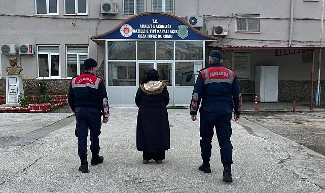 Kuyucak'ta terör örgütü üyesi yakalandı