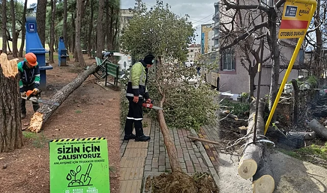 Lodos Bursa'yı vurdu! Büyükşehir sahada