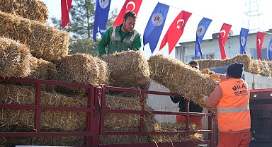 Milas'ta üreticilere yem ve saman desteğine devam