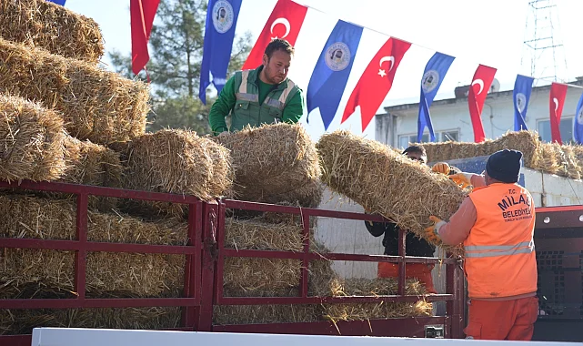Milas'ta üreticilere yem ve saman desteğine devam