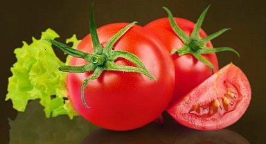 Muğla Milas'ta talep edene ücretsiz yerel tohum