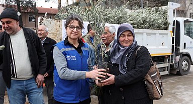 Muğla Ula'da üreticiye zeytin ve ceviz fidanı desteği