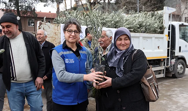 Muğla Ula'da üreticiye zeytin ve ceviz fidanı desteği
